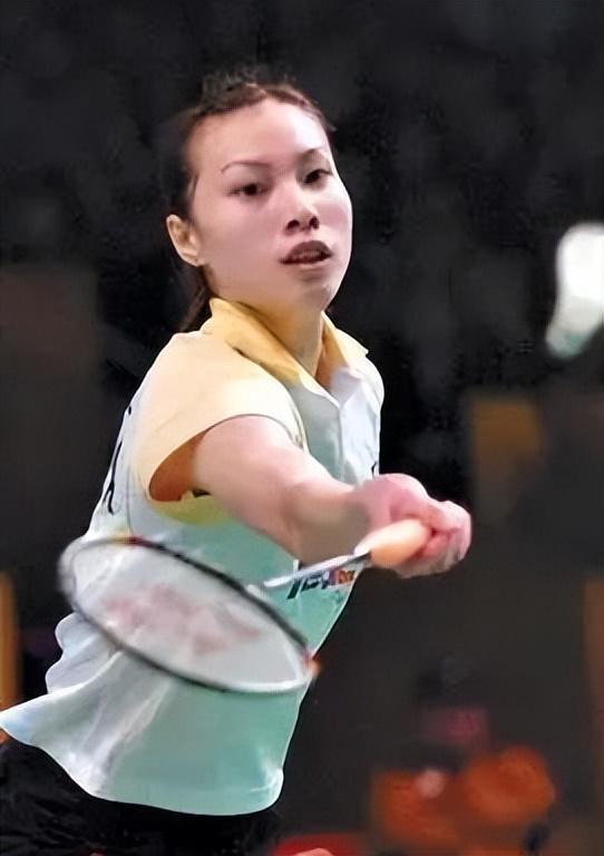 吸引了众多 吸引了众多